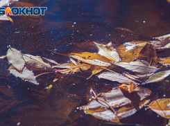 В Ростове 15 сентября ожидается дождь с грозой