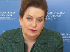 Глава минздрава Ростовской области: «Платно пойдет тестироваться тот, у кого в голове возник коронавирус»