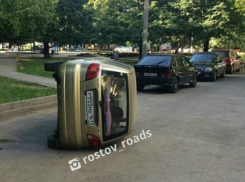 Жестокое надругательство над маленькой «красавицей» устроили вандалы во дворе Ростова