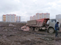 Виновников незаконной выгрузки мусора на окраине Ростова накажут