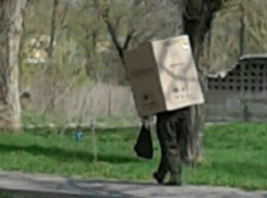 Стеснительный «социопат» разгуливал по улице Ростова с картонной коробкой на голове