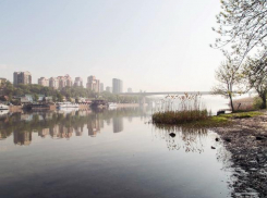 Привлекать туристов в Ростовскую область будет компания из Екатеринбурга