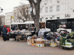 Борьба с ветряными мельницами: как в Ростове справляются с несанкционированной торговлей