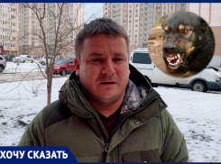 «Назначили прививки от бешенства»: ростовчанин рассказал про нападение собак в Левенцовке