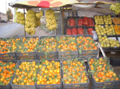 На полках донских магазинов появятся продукты из Ливана 