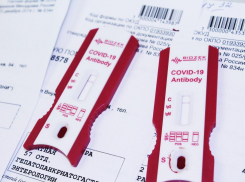 Из аптек Ростовской области изъяли экспресс-тесты на антитела к COVID-19