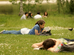 Ясной и теплой выдастся постпраздничная среда для жителей Ростова