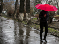 Проливные дожди и освежающий порывистый ветер подпортят пятницу жителям Ростова