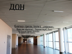 Пассажирам аэропорта «Платов» в Ростове предлагают насладиться Пушкиным и картинами в стиле «казачий поп-арт»