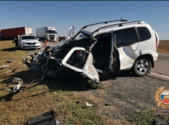 Смертельное ДТП произошло на трассе под Ростовом 