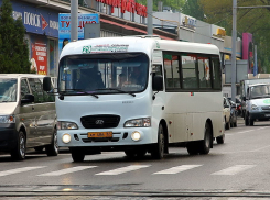 Чиновники опровергли факт выпадения пассажиров из 29 маршрутки в Ростове