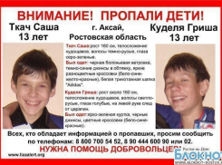 В Аксае пропали два 13-летних школьника