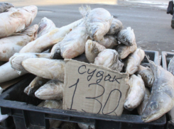 В Ростове пресекли торговлю рыбой без документов