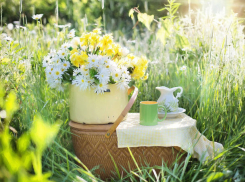 Ростовчан приглашают на экопикник в парк Авиаторов