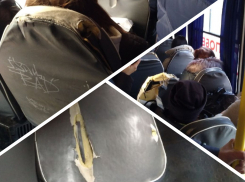 Минтранс провел проверку после публикации «Блокнот Ростов» об ужасном состоянии автобусов в Ростовской области