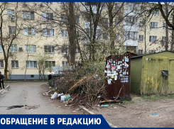 Жители Александровки пожаловались на замусоренную контейнерную площадку