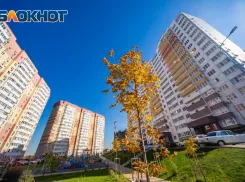 Мастер-план Ростова и агломерации будет представлен летом 2025 года