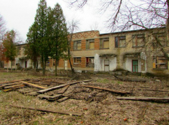 Мужчина сжег своего маленького друга у старого детского сада в Ростовской области