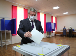 Василий Голубев досрочно проголосовал на выборах