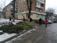 Чемпионат по метанию елок пройдет в Ростове-на-Дону