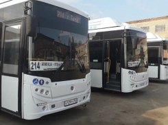 Автобусы из Батайска в Ростов пойдут по Ворошиловскому мосту с 17 мая