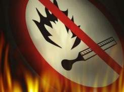 4 класс пожароопасности сохранится в Ростове в предстоящие выходные