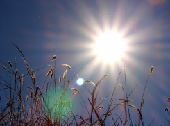 Во вторник в Ростове будет ясно и солнечно