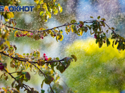 В Ростове объявлено штормовое предупреждение из-за ливней 