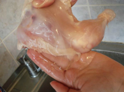 Подозрительных цыплят-бройлеров обнаружили в детском саду Ростовской области