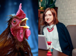 Как жителям Ростова правильно встретить Год Петуха, чтобы 2017-й принес счастье, - астролог