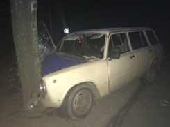 Обычное дерево помешало пьяному угонщику скрыться с места преступления под Ростовом