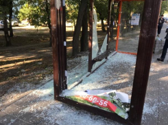 Алексей Логвиненко считает, что остановки в Ростове бьёт банда вандалов
