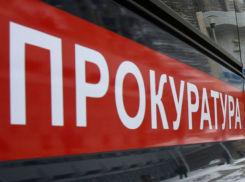 По году жизни за патрон может отдать пожилой дончанин, хранивший боеприпасы в Ростовской области