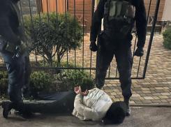 В Ростове осудили экс-полковника полиции за передачу взятки сотруднику ФСБ 