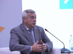 Премьер-министр РФ объявил благодарность Василию Голубеву за «укрепление госбезопасности»