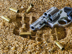 В полиции Ростова рассказали, как сдать оружие за деньги