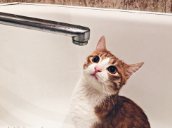 В центре Ростова 8 июня на весь день отключат холодную воду