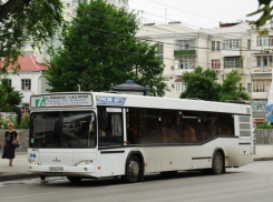 Ростовчане возмущены отменой маршруток на Большой Садовой