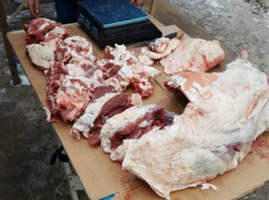 Ядовитым раствором залили в Ростове карпов, толстолобиков, говядину и баранину