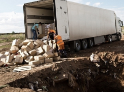 Грузовик с подозрительным хреном задержали в Ростовской области 