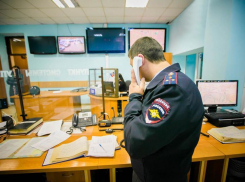 Труп без головы и конечностей нашли в лесополосе в Ростовской области 