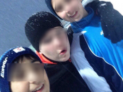 Овчарка напала на ростовских школьников, защищаясь от их палок