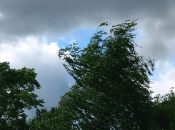 На выходных в Ростовской области резко ухудшится погода