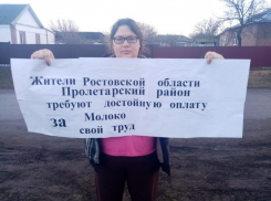 В Ростовской области аграрии устраивают акции протеста из-за «молочного кризиса»