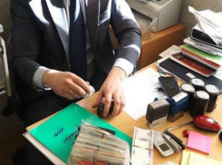 Директора фирмы микрозаймов схватили за массовые мошенничества в Ростовской области 