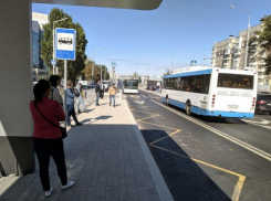 Власти Ростова-на-Дону хотят запустить скоростные автобусные линии 