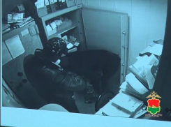 Ростовчанин похитил из ювелирного салона Брянска золота на 13,5 млн. рублей и 500 тысяч