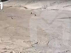 Лыжник из Ростовской области погиб на Эльбрусе