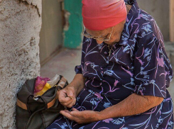 Почти четверть донских семей после покупки всего необходимого «сводят концы с концами»