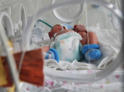 За шокирующую смерть новорожденной тройни в Ростове возьмется независимая экспертиза